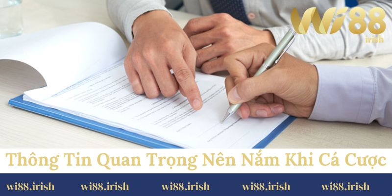 Thông tin quan trọng nên nắm khi cá cược online ở Wi88