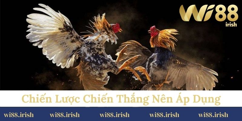 Chiến lược chiến thắng nên áp dụng
